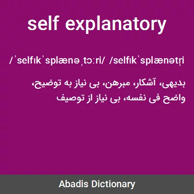 معنی self explanatory